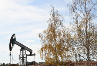 wp header logo1760608821201445952