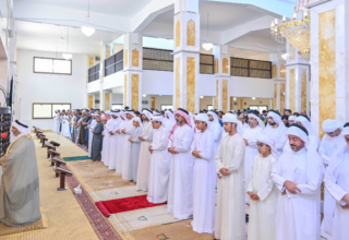 wp header logo17607060191678049826