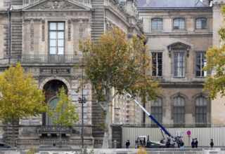 wp header logo17608788071825124423