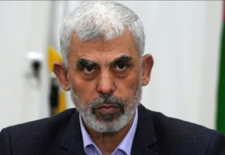 wp header logo17608897081576931757