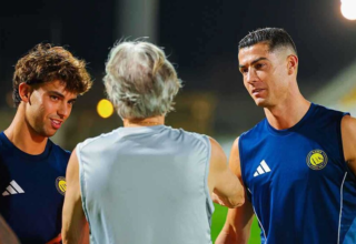 wp header logo1760954429421716172