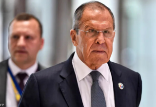 wp header logo17610480191022894639