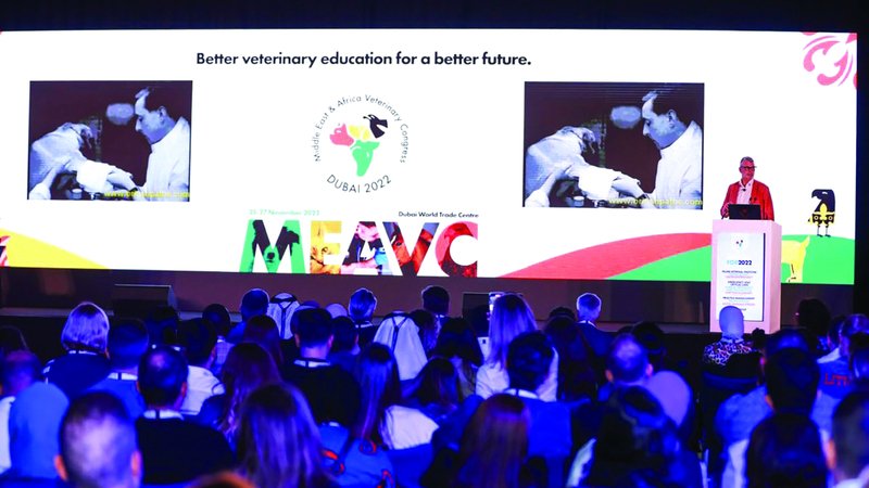 wp header logo17610948051224843306