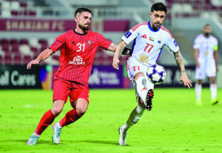 wp header logo17610948261230346805