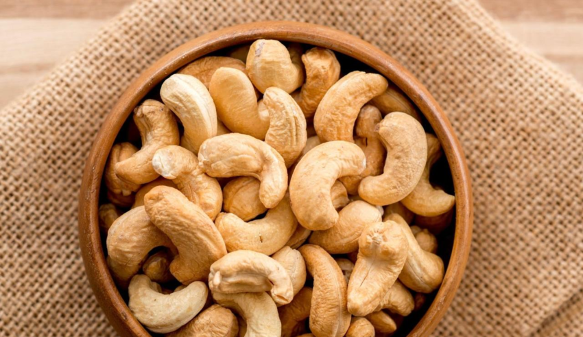 wp header logo1761105606915456017