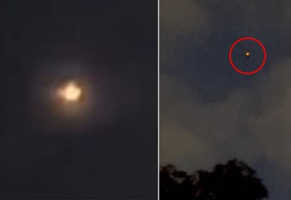 wp header logo17611344331881326140