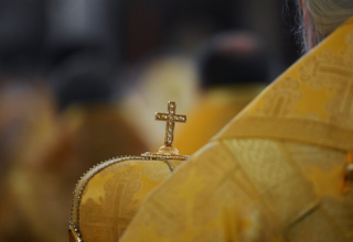 wp header logo17611524161021941901