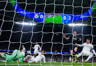 wp header logo17611704081831996425