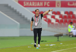 wp header logo17613324311919025005