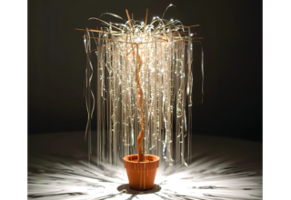 wp header logo17613540332061619486