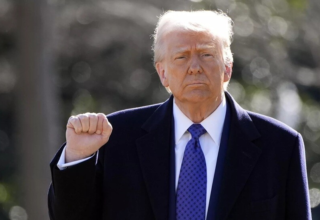 wp header logo17614116501123983417