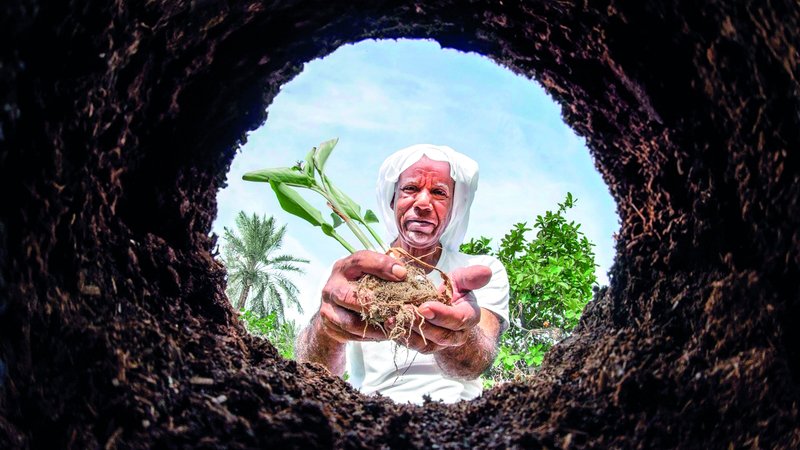 wp header logo17614404401670716849