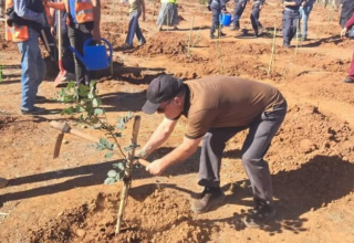 wp header logo17615448092004855442