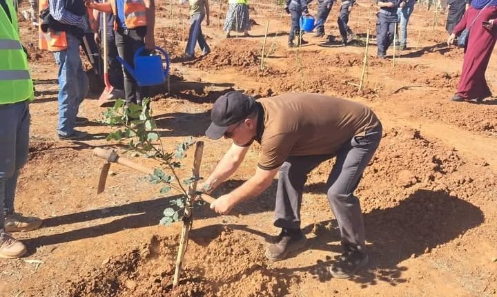 wp header logo17615448092004855442