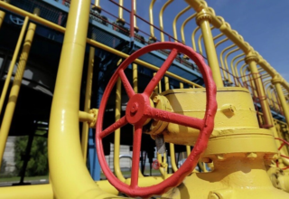 wp header logo1761584496413019310