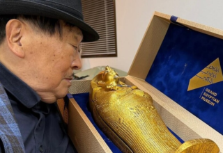 wp header logo17616096071964116190