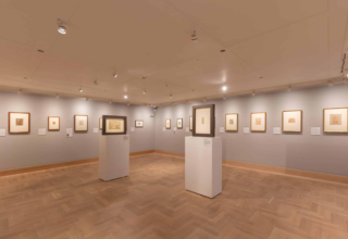 wp header logo17616240051060419195