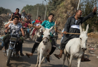 wp header logo17616600091582858170