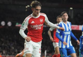 wp header logo17618364292045248422