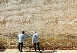 wp header logo1761872450285512146