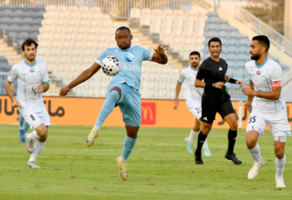 wp header logo176192640450113803