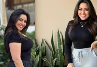 wp header logo17619264281604501538