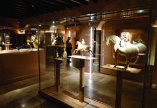 wp header logo1762030812757034700