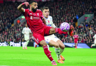 wp header logo1762131622539356978