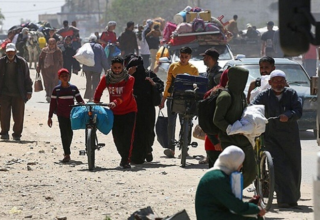 wp header logo17621820241534315395