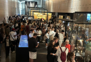 wp header logo17622864071159596761