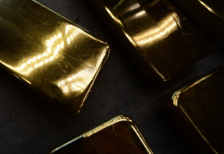 wp header logo17623296061409950847