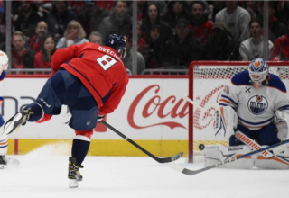 wp header logo1762412419733902063