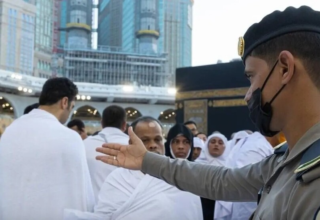 wp header logo17624196075985182