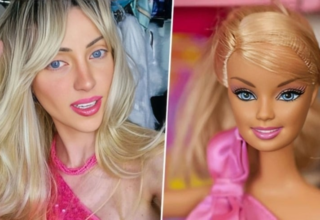 wp header logo17624952062146882679