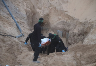 wp header logo17624988091717662106