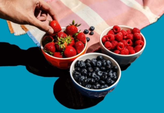 wp header logo17625096051789320735