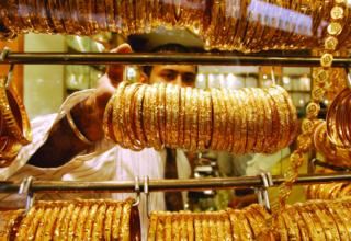 wp header logo17626356121842268058