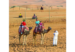 wp header logo1762650011935618091