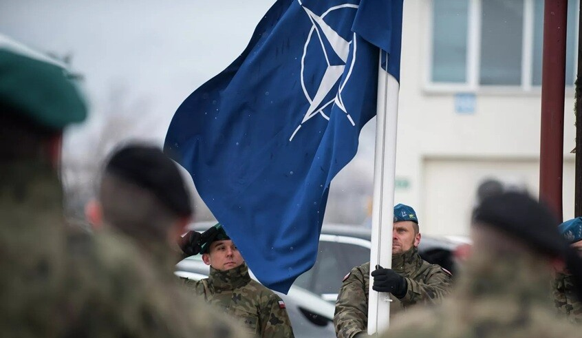 wp header logo17626500592123726195