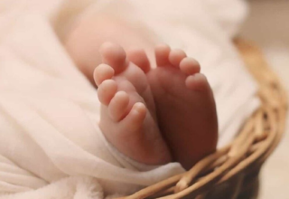 wp header logo17626680071852455075