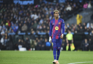 wp header logo17627940261191027476