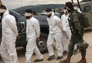 wp header logo17628156072014744677