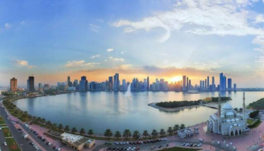 wp header logo1762851608596780267