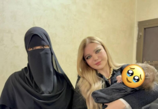 wp header logo1762855222450744475