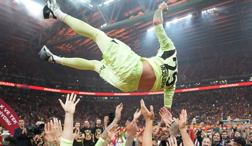 wp header logo17628696352000874719