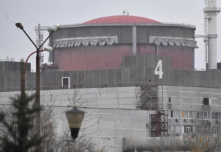 wp header logo1762992028434262358