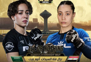 wp header logo176304604796660633