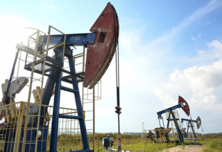 wp header logo17631072211230106121