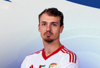 wp header logo1763114405966435068