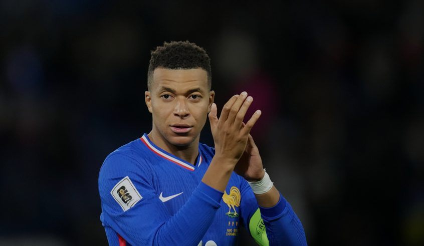 wp header logo17631324231723503302